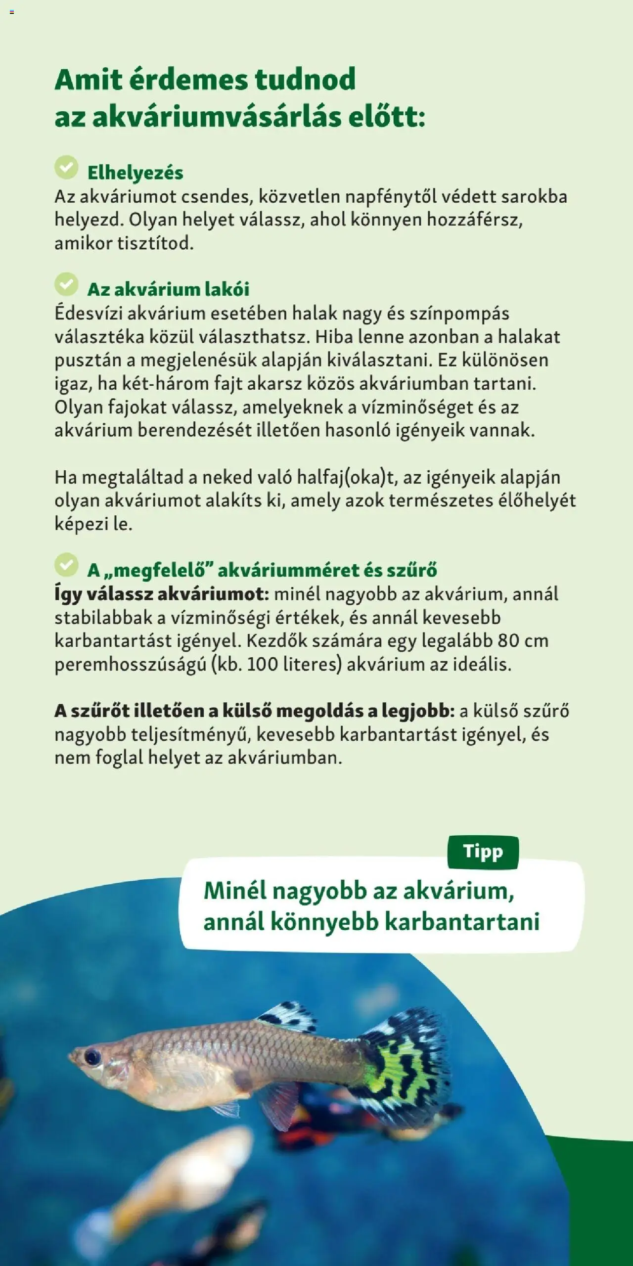 Fressnapf akciós ujság - amely érvényes a következő dátumtól: 06.04.2025 | Oldal: 2 | Termékek: Halak, Akvárium