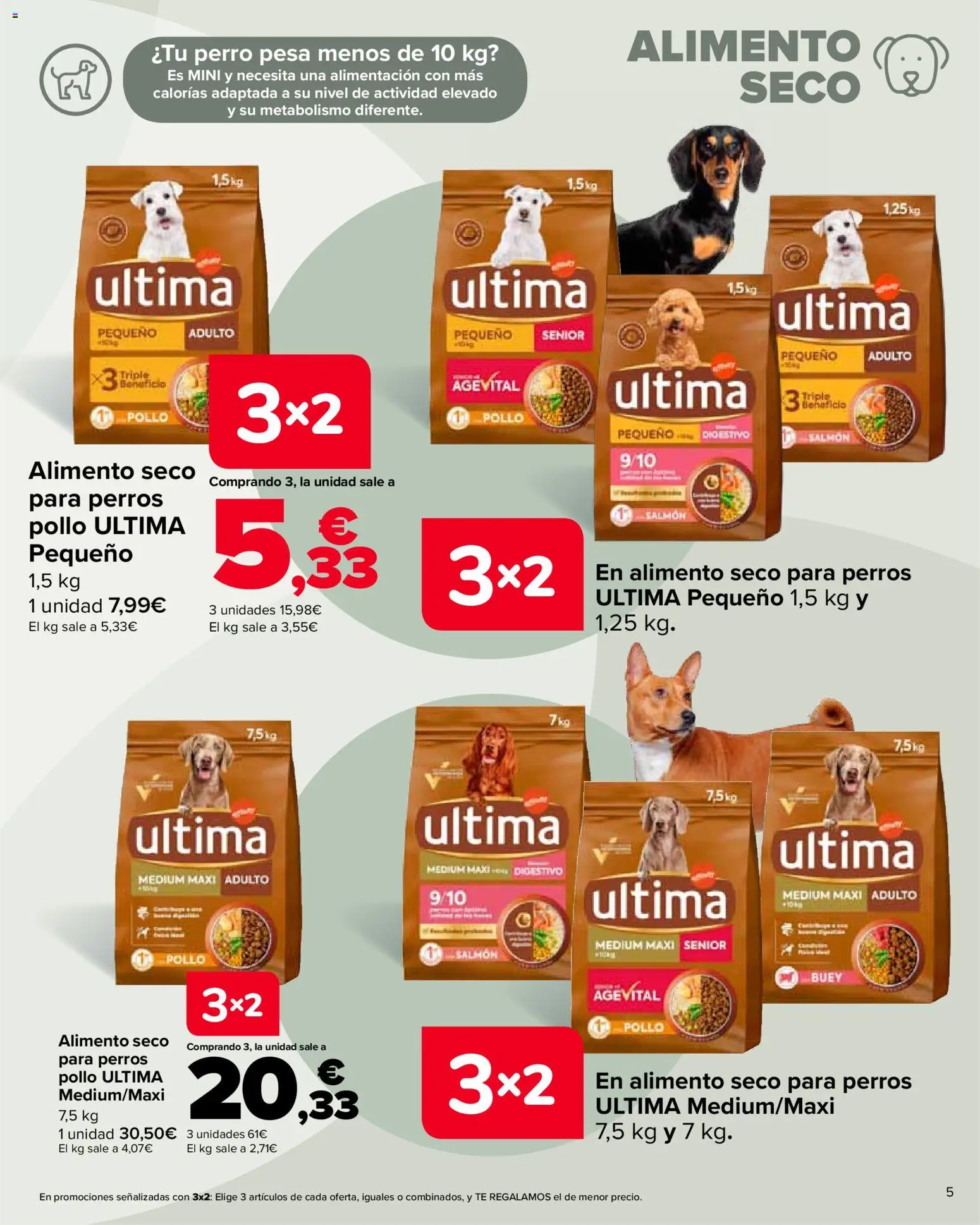 Carrefour folleto │ válido desde el 28.10.2025 | Página: 5 | Productos: Té