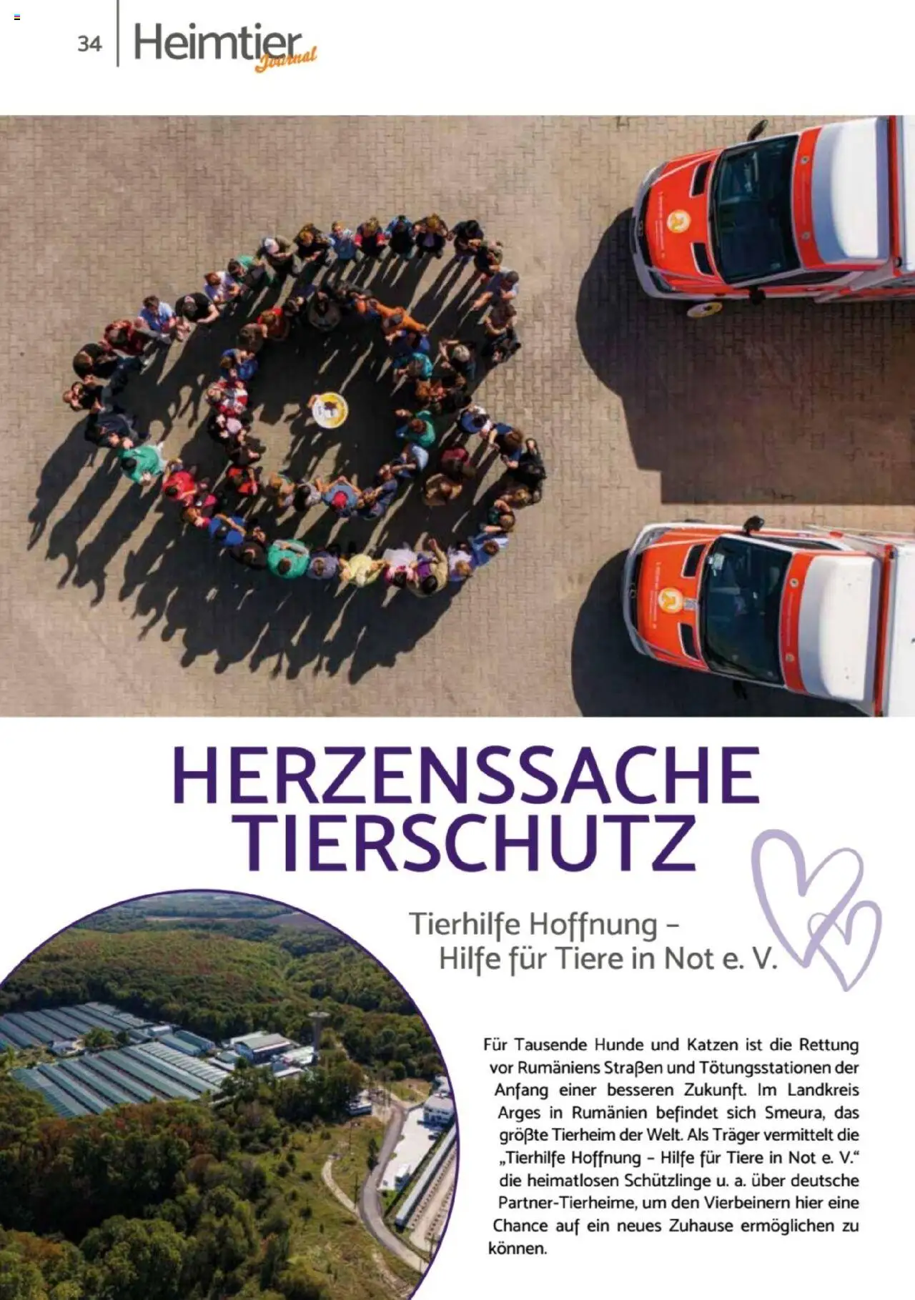 zookauf  Heimtier Journal - gültig ab dem 21.07.2025 | Seite: 34