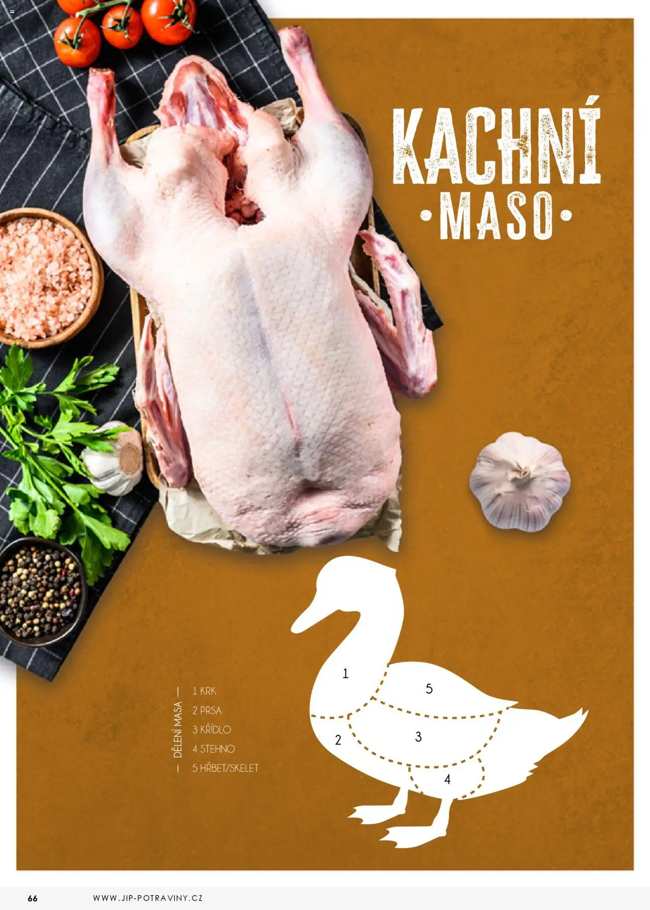 Jip katalalog - Maso 2025 od 01.01.2025 | Strana: 66 | Produkty: Maso