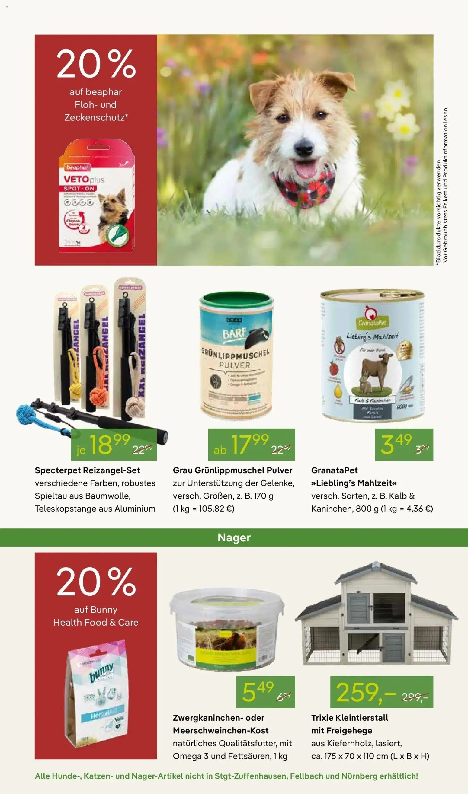 Pflanzen-Kölle - Pflanzen-Kölle: Weltfrauentag – gültig ab 02.03.2026 | Seite: 14