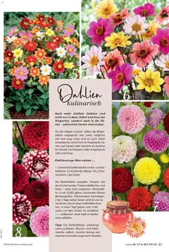 Dehner Flugblatt ab 05.03.2026 gültig | Seite: 51 | Produkte: Wasser, Zucker, Vase