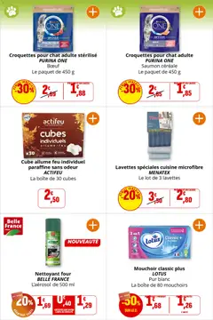 Coccinelle - Prévisualisation de Coccinelle catalogue valide à partir de 02.01.2026 | Page: 32 | Produits: Allume feu, Sel, Croquettes pour chat, Saumon