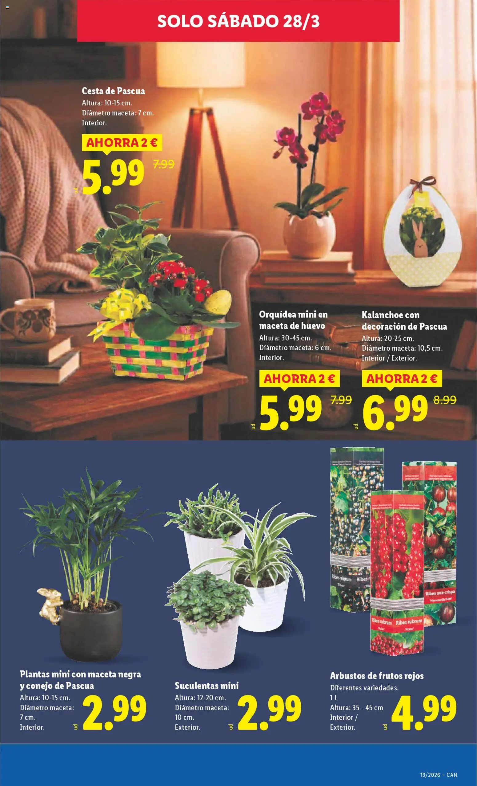 Lidl folleto │ válido desde el 23.03.2026 | Página: 33 | Productos: Cesta, Maceta