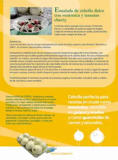 Vista previa Costco catálogo válido desde el 29.09.2025 | Página: 24 | Productos: Tomates, Aceite de oliva, Ensalada, Παγωμένο τσάι