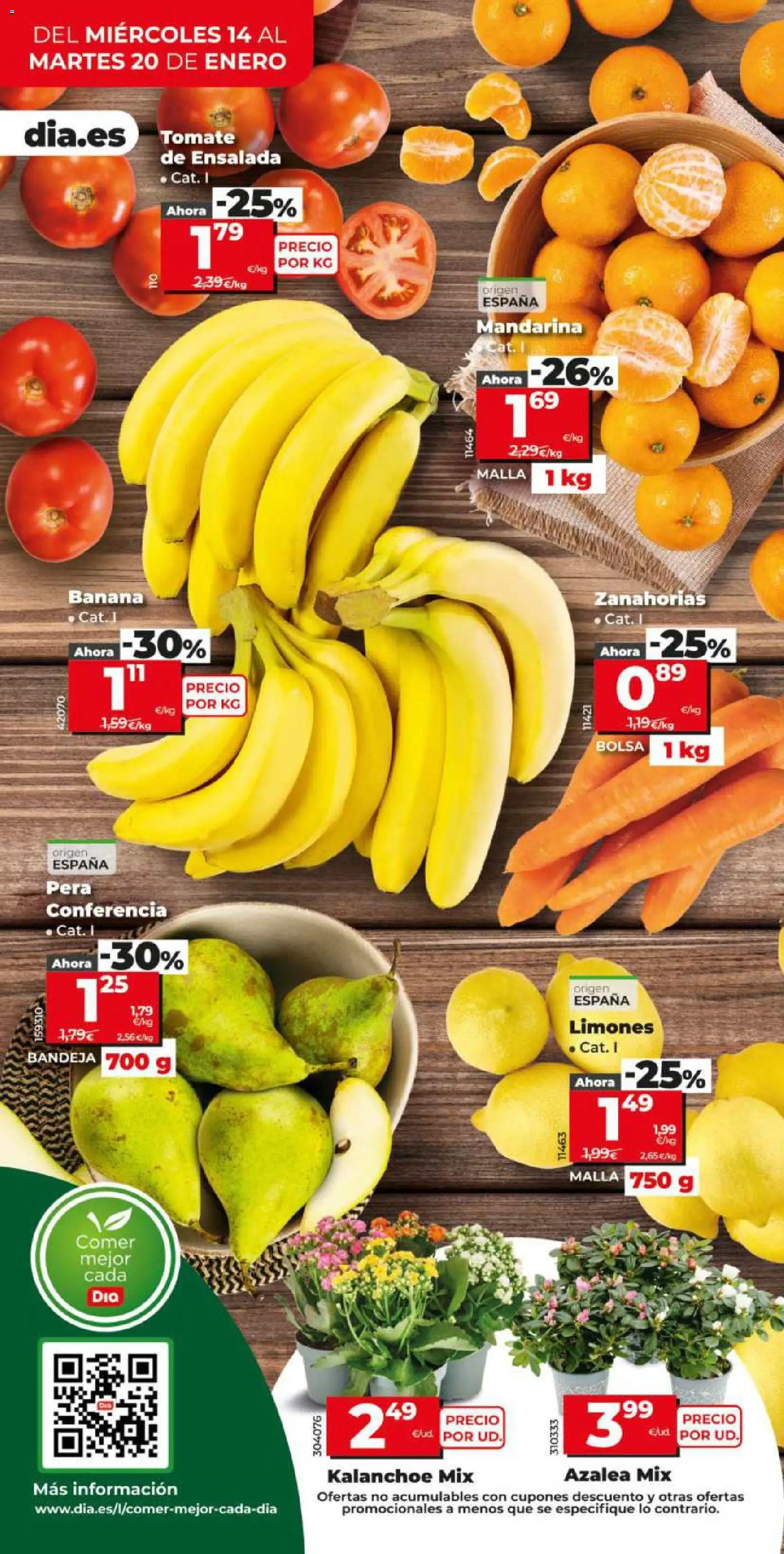 Dia - folleto Market │ válido desde el 14.01.2026 | Página: 4 | Productos: Ensalada, Bolsa, Bandeja