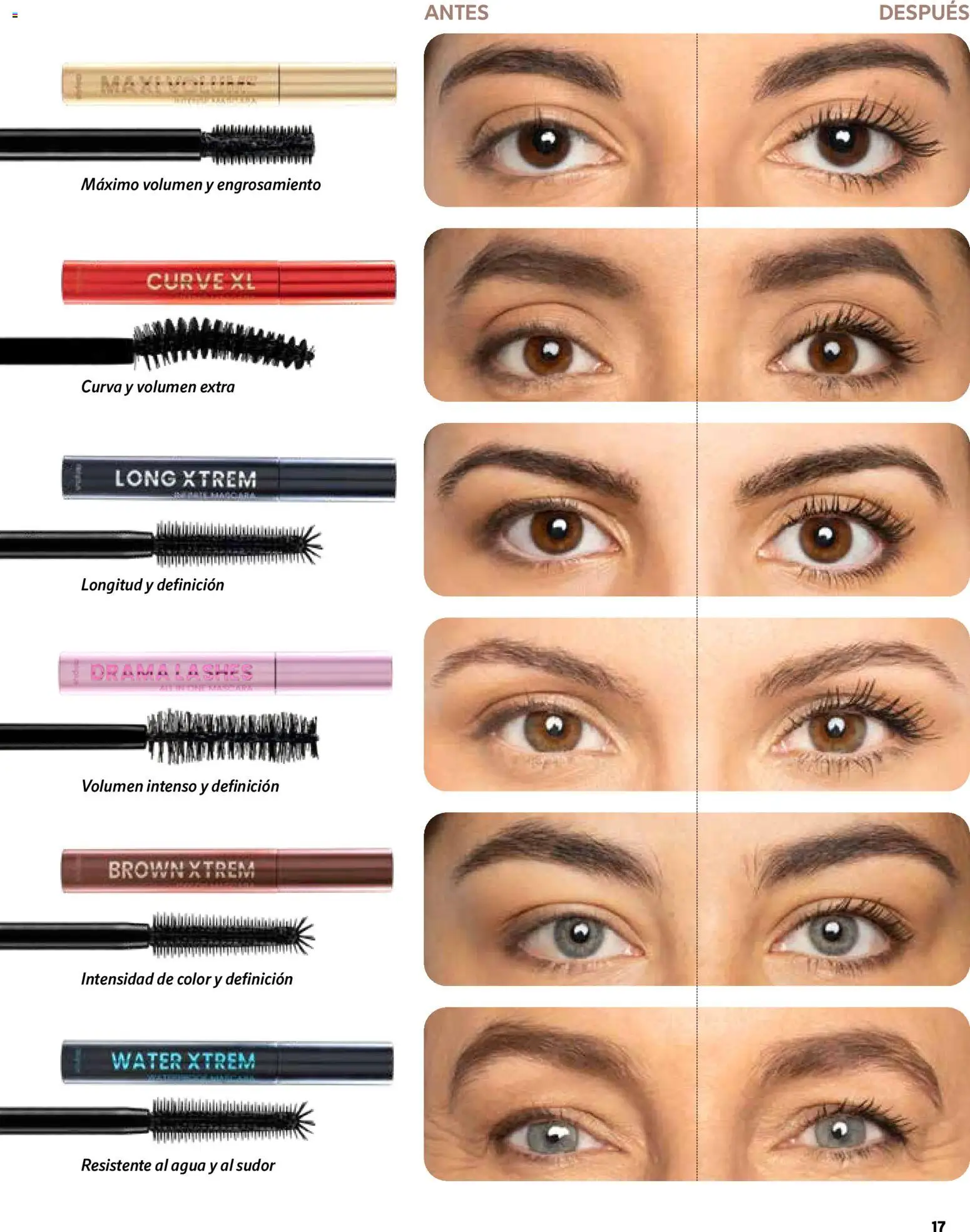 Catálogo Mercadona - febrero-marzo 2026 │ válido desde el 01.02.2026 | Página: 17