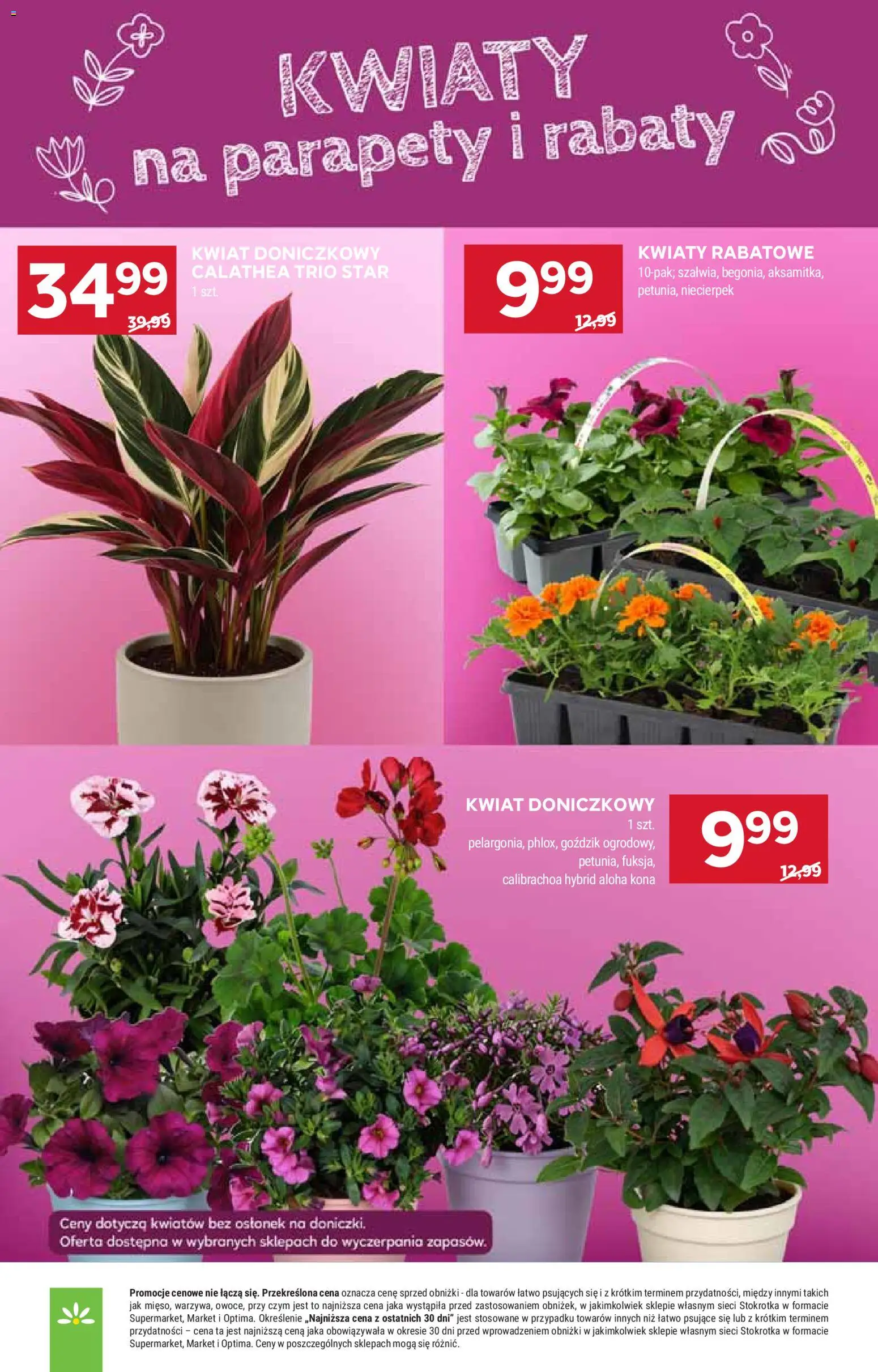 Stokrotka gazetka - Market od 16.04.2026 | Strona: 7 | Produkty: Stokrotka, Goździk, Kwiaty