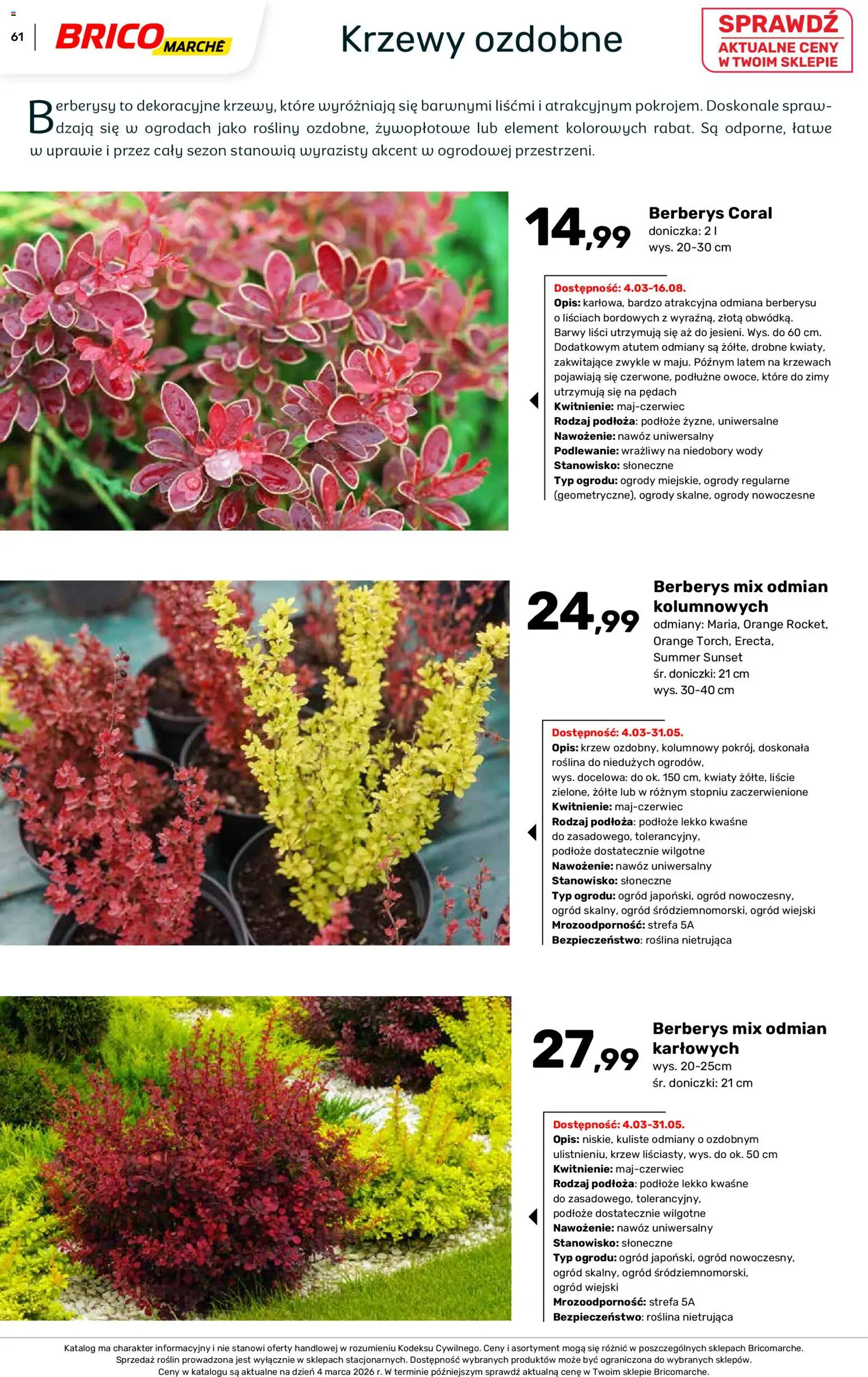 Brico Marché gazetka - Wiosna od 04.03.2026 | Strona: 61 | Produkty: Doniczka, Rosliny, Doniczki, Kwiaty