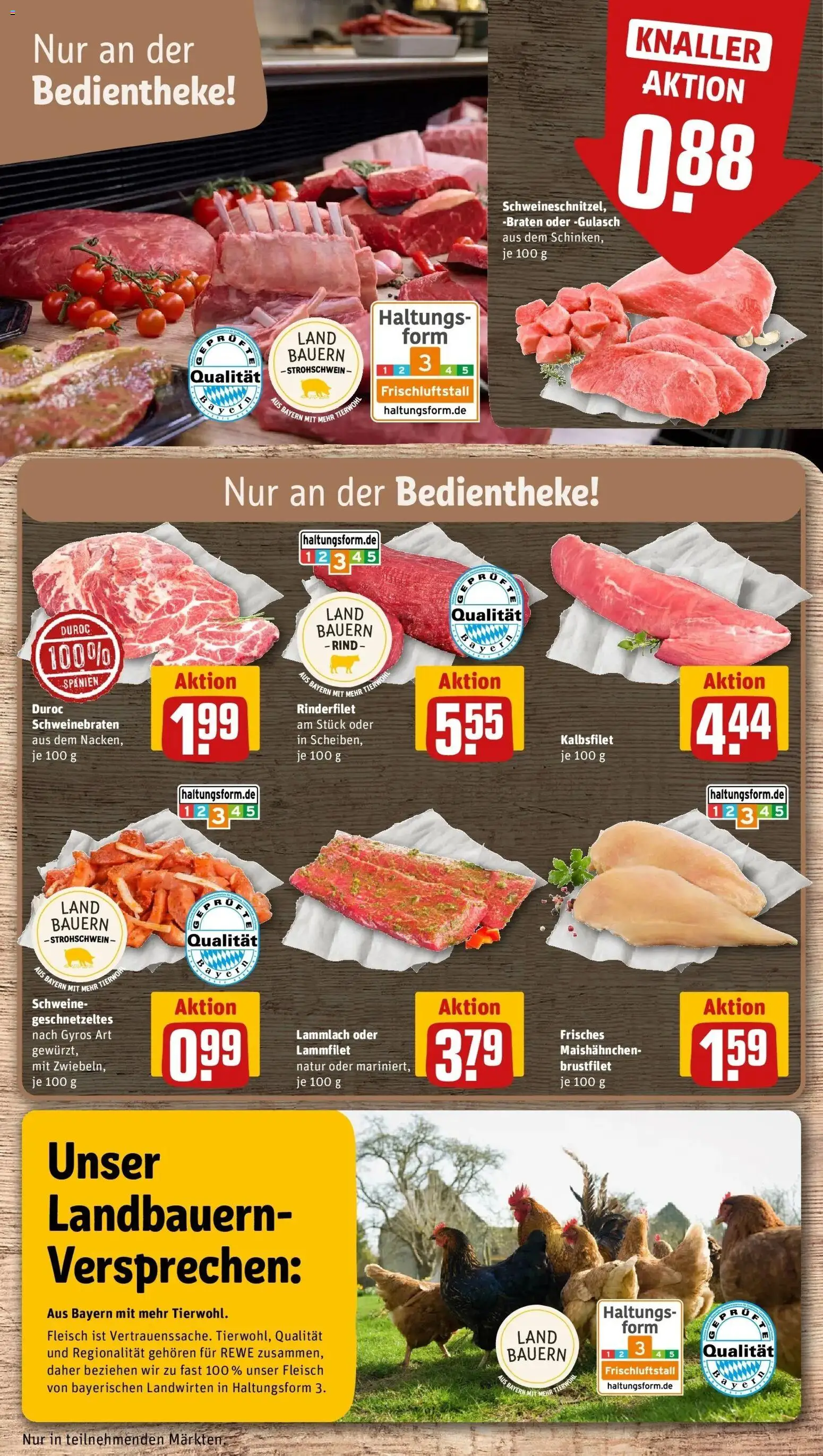 Rewe Prospekt Waidhofen	 – gültig ab 12.04.2026 | Seite: 8 | Produkte: Zwiebeln, Gulasch, Schinken, Fleisch