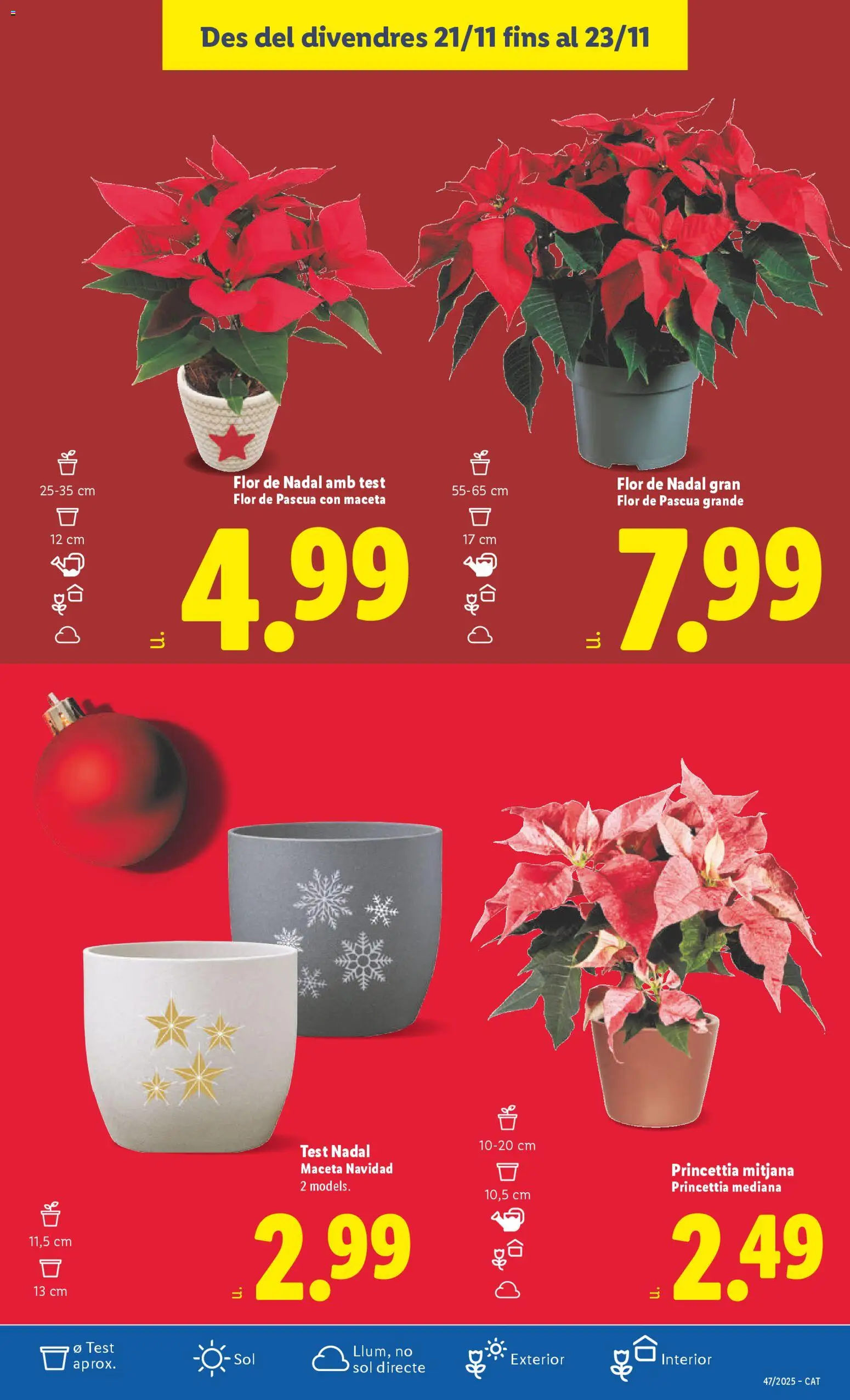 Lidl folleto │ válido desde el 17.11.2025 | Página: 51 | Productos: Maceta