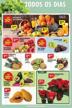 Pré-visualização KIWI, Kiwi A granel válido de 04.12.2025 | Página: 2 | Produtos: Flores, Abacate, Abacaxi, Uvas