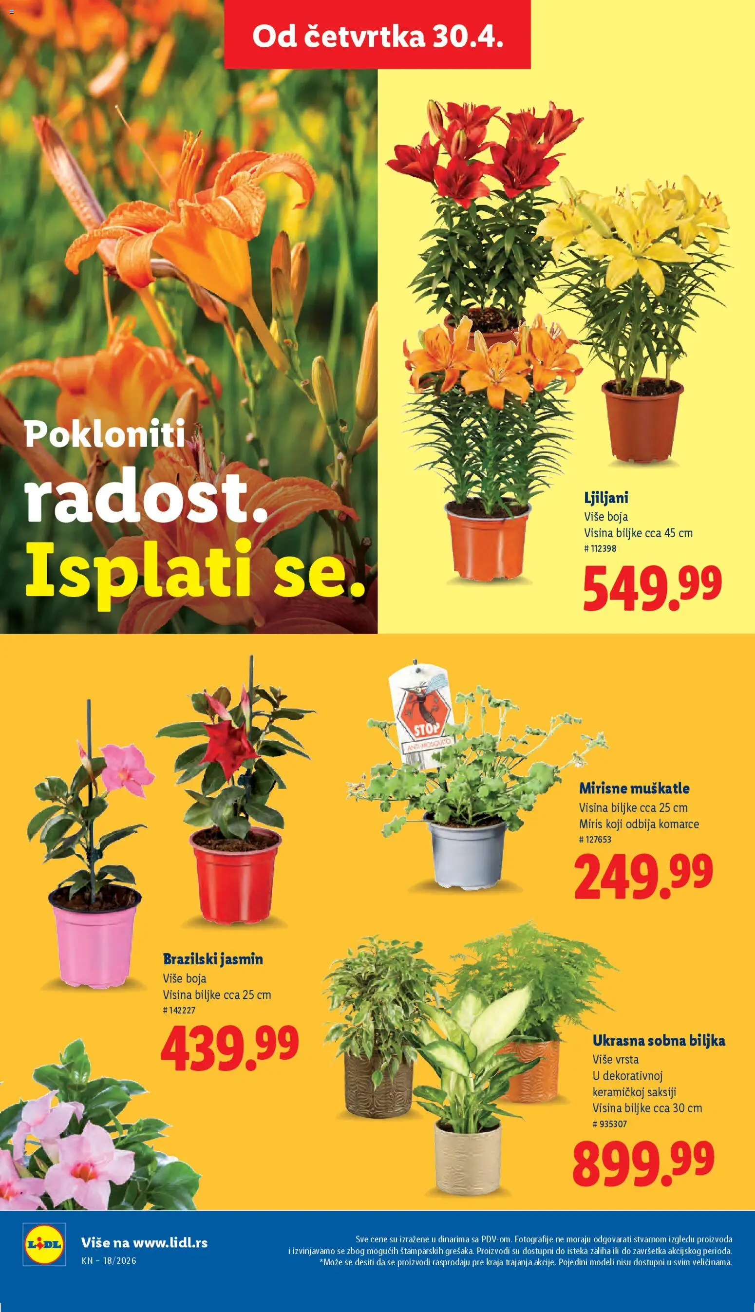 Lidl katalog - važi od 30.04.2026 | Strana: 64 | Proizvode: Miris