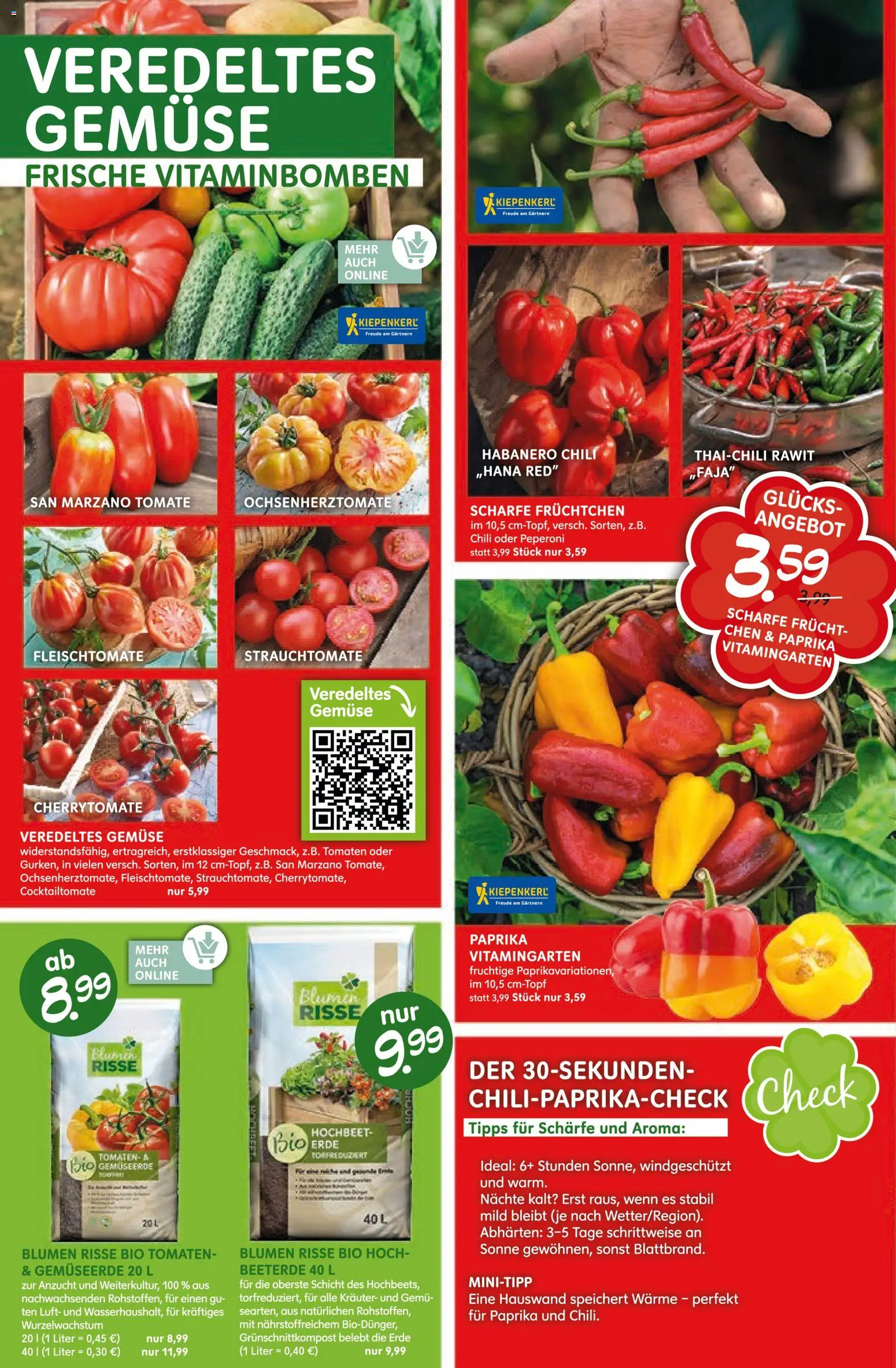 Blumen Risse Prospekt Blumenmarkt – gültig ab 16.04.2026 | Seite: 2 | Produkte: Blumen, Gemüse, Paprika, Chili