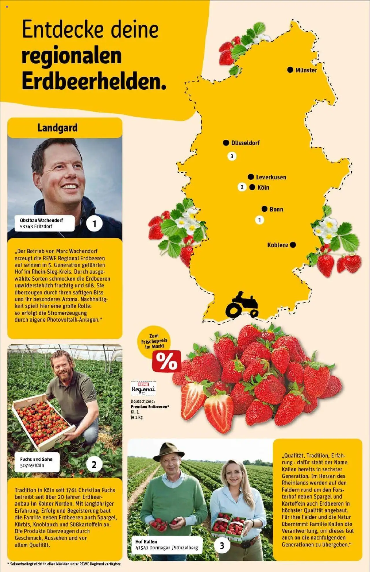 Rewe prospekt Bitburg	 - gültig ab dem 22.06.2025 | Seite: 21 | Produkte: Spargel, Kartoffeln, Knoblauch, Erdbeeren