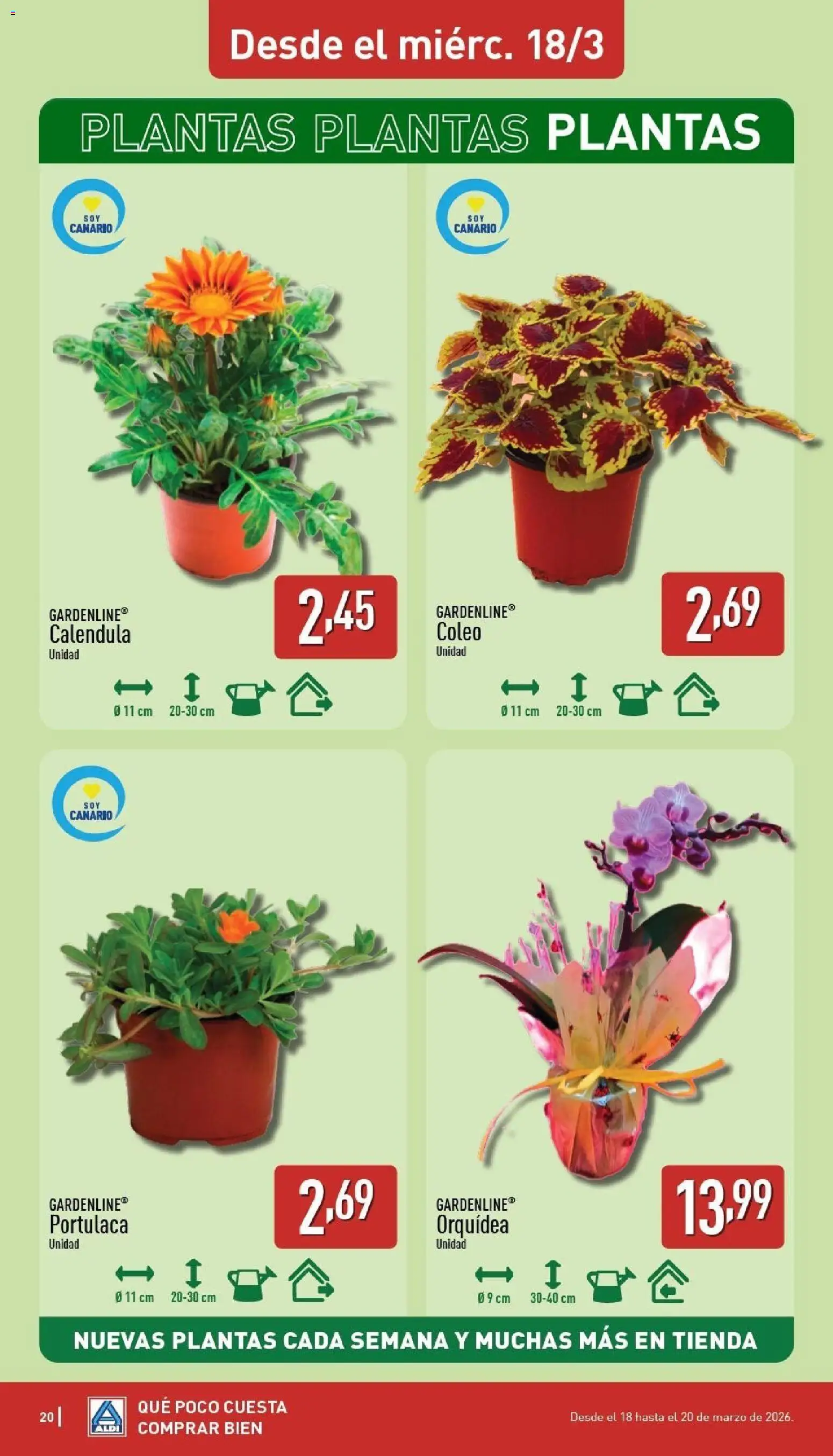 Aldi folleto Canarias │ válido desde el 16.03.2026 | Página: 20
