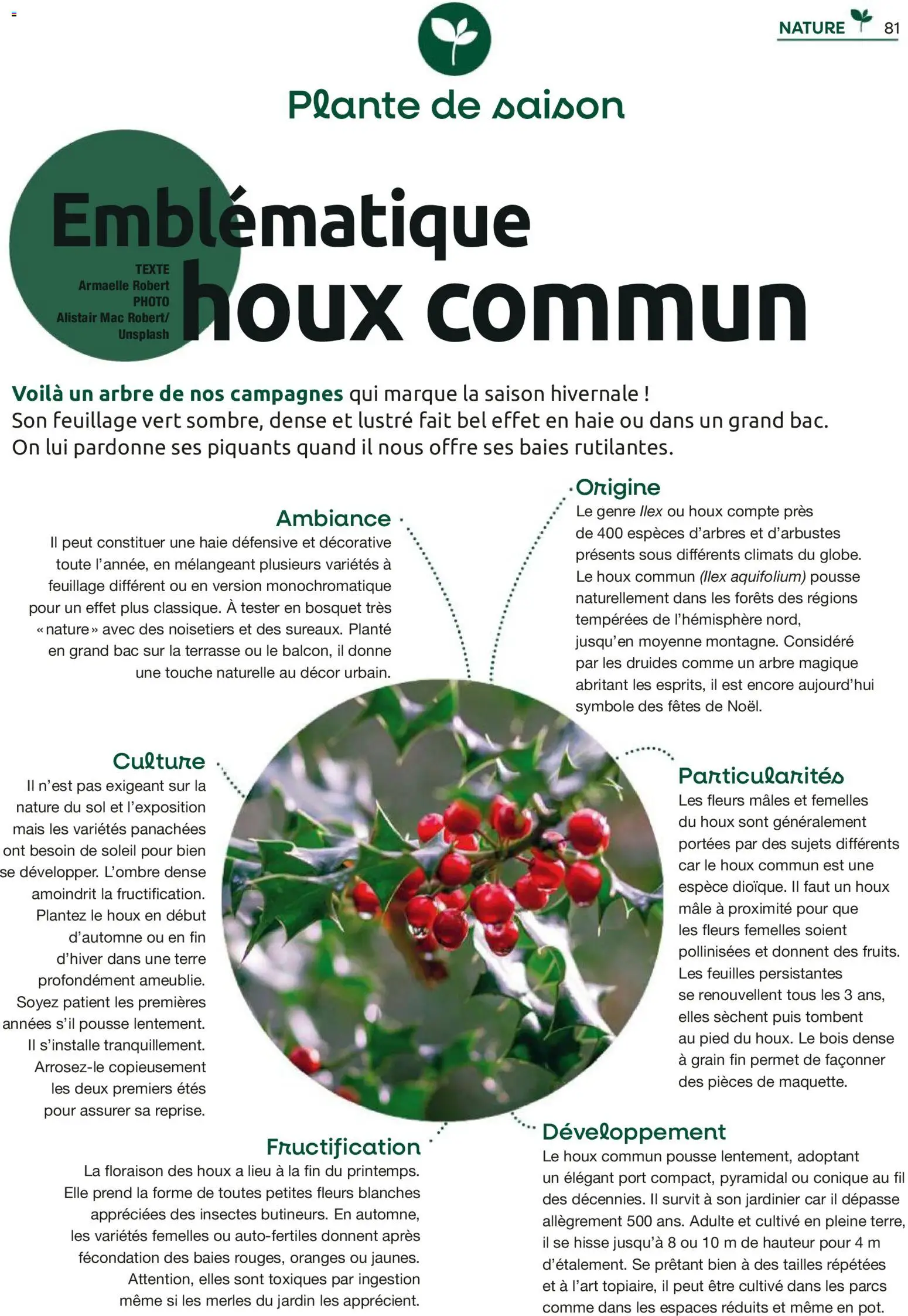 {H1} | Page: 81 | Produits: Mais, Oranges