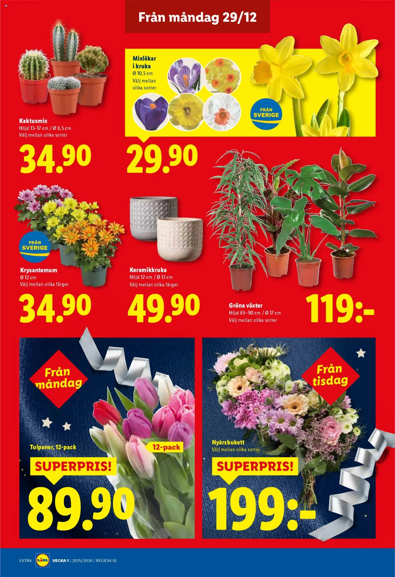 Lidl reklamblad aktuell från 29.12.2025 | Sida: 19 | Produkter: Keramikkruka, Kruka