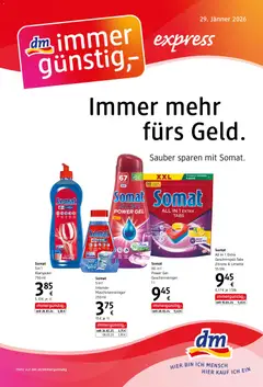dm drogerie markt Flugblatt Februar 2026 ab 29.01.2026 gültig