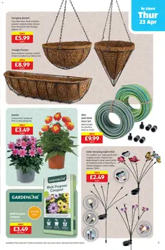 Preview of Aldi - Weekly offers UK Specialbuys valid from 23.04.2026 | Page: 11 | Products: Basket, Planter