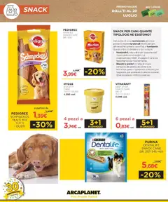 Volantino Arcaplanet del 13.07.2025 | Pagina: 12