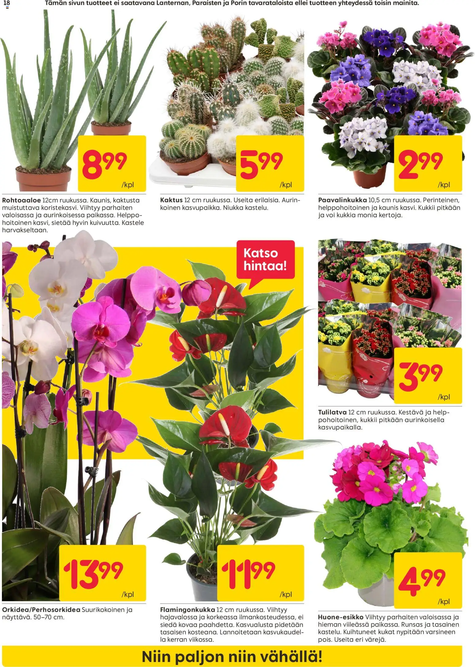 Rusta tarjoukset – voimassa 19.01.2026 alkaen | Sivu: 18 | Tuotteet: Voi