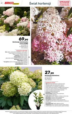 Pogląd oferty "Brico Marché gazetka - Wiosna" - ważna od 04.03.2026 | Strona: 68