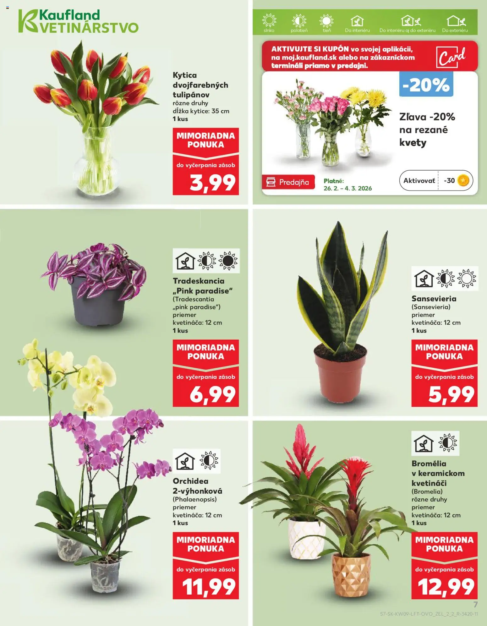 Kaufland SK akciós ujság - amely érvényes a következő dátumtól: 26.02.2026 | Oldal: 7 | Termékek: Orchidea