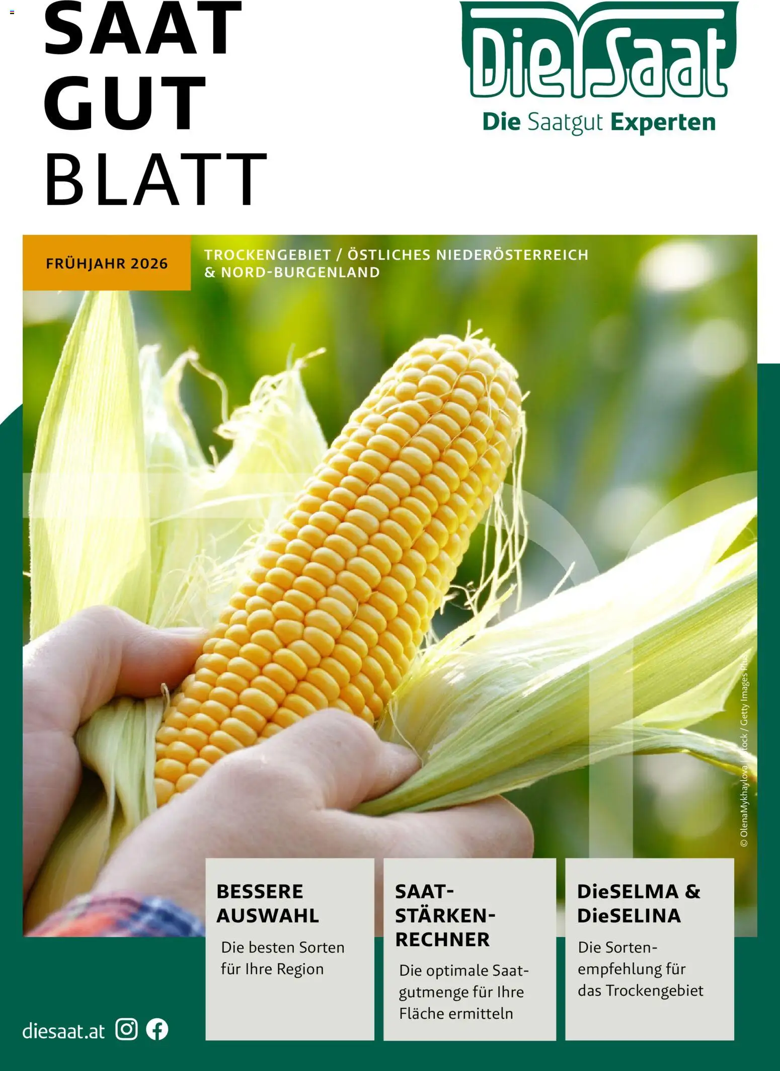 Lagerhaus - Frühjahr 2026 Östliches  Niederösterreich gültig ab 01.03.2026 | Seite: 1