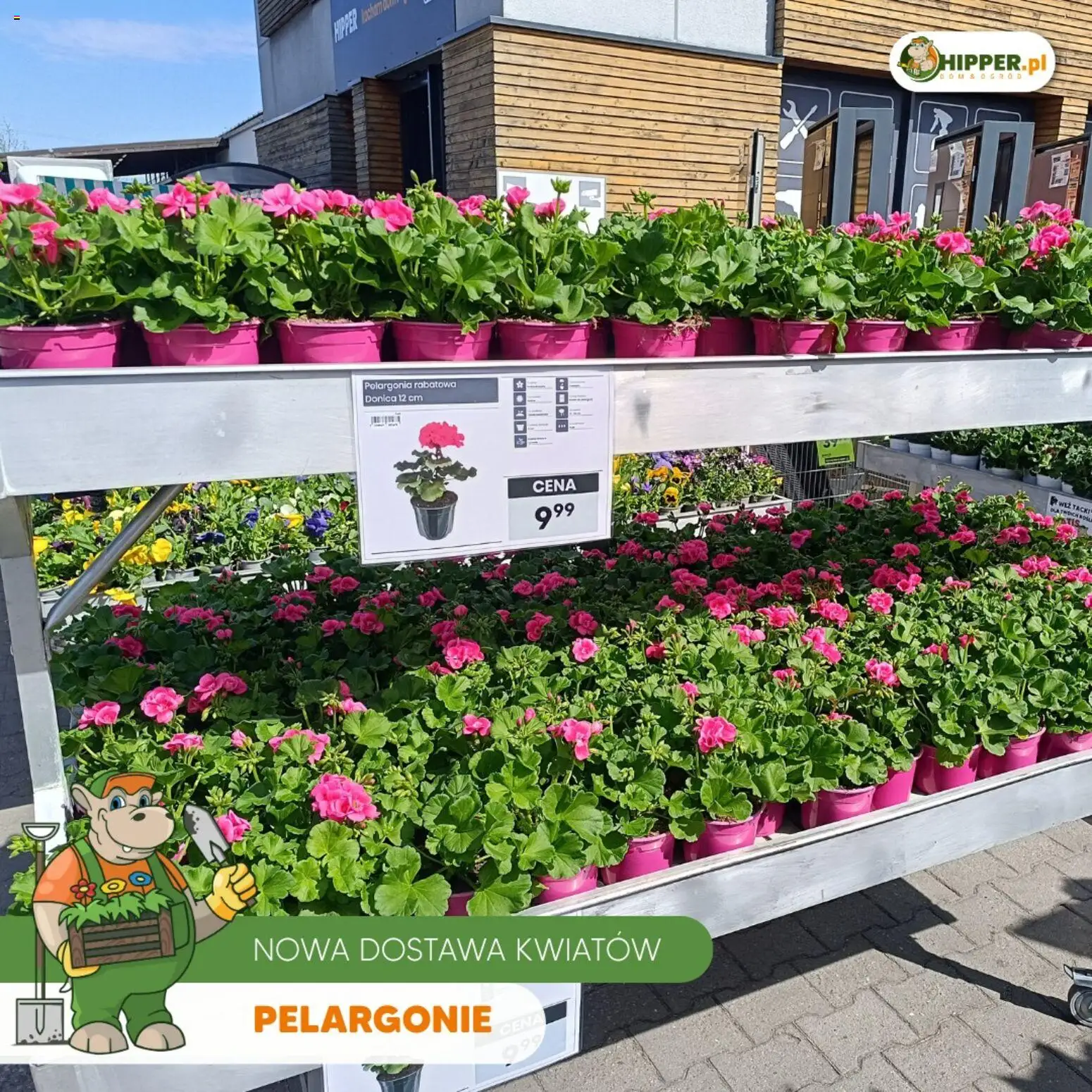 Hipper gazetka od 24.04.2026 | Strona: 1