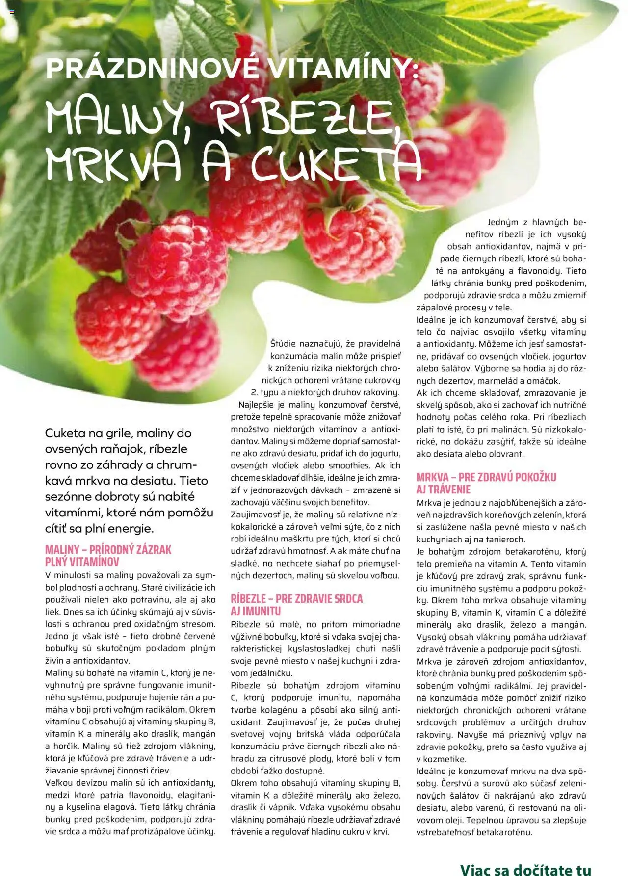 COOP Jednota široká ponuka │ platný od 17.07.2025 | Strana: 63 | Produkty: Ríbezle, Mrkva, Cuketa, Maliny