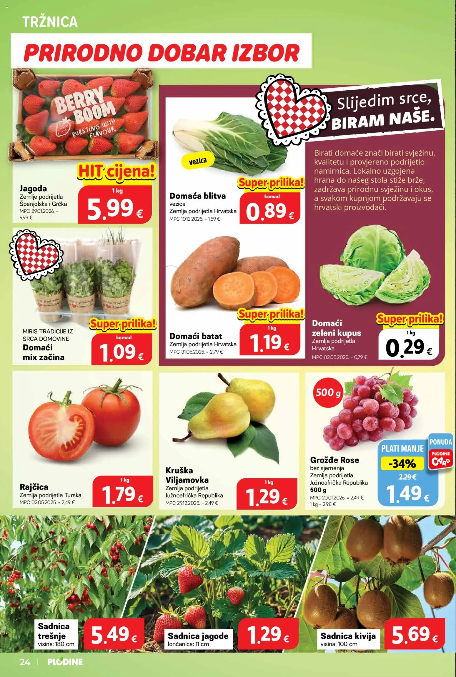 Plodine katalog | vrijedi od 18.03.2026 | Stranica: 24 | Proizvodi: Miris, Jagode, Grožđe, Kruška