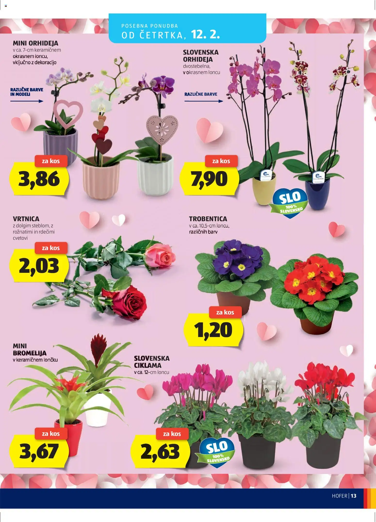 Hofer SI katalog | vrijedi od 04.02.2026 | Stranica: 13