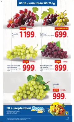 Lidl akciós ujság - amely érvényes a következő dátumtól: 18.09.2025 | Oldal: 11