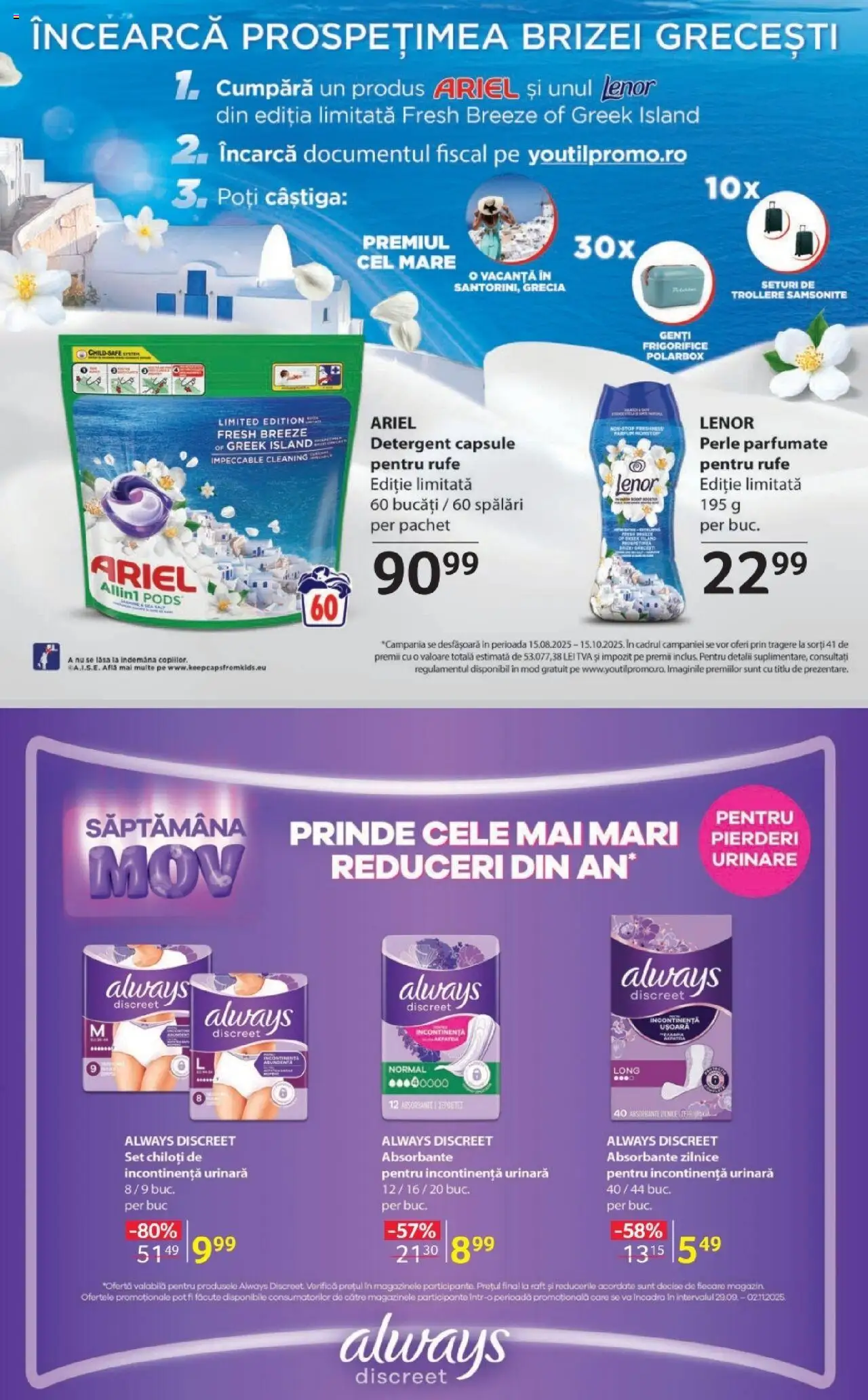Noul catalog Selgros – valabil de la 03.10.2025 | Pagină: 17 | Produse: Raft, Detergent, Absorbante, Chiloți