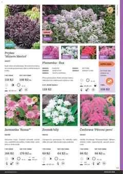 Náhled letáku Starkl katalog od 25.02.2026 | Strana: 63