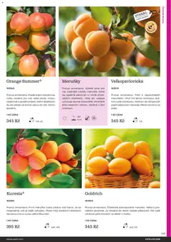 Náhled letáku Starkl katalog od 25.02.2026 | Strana: 125