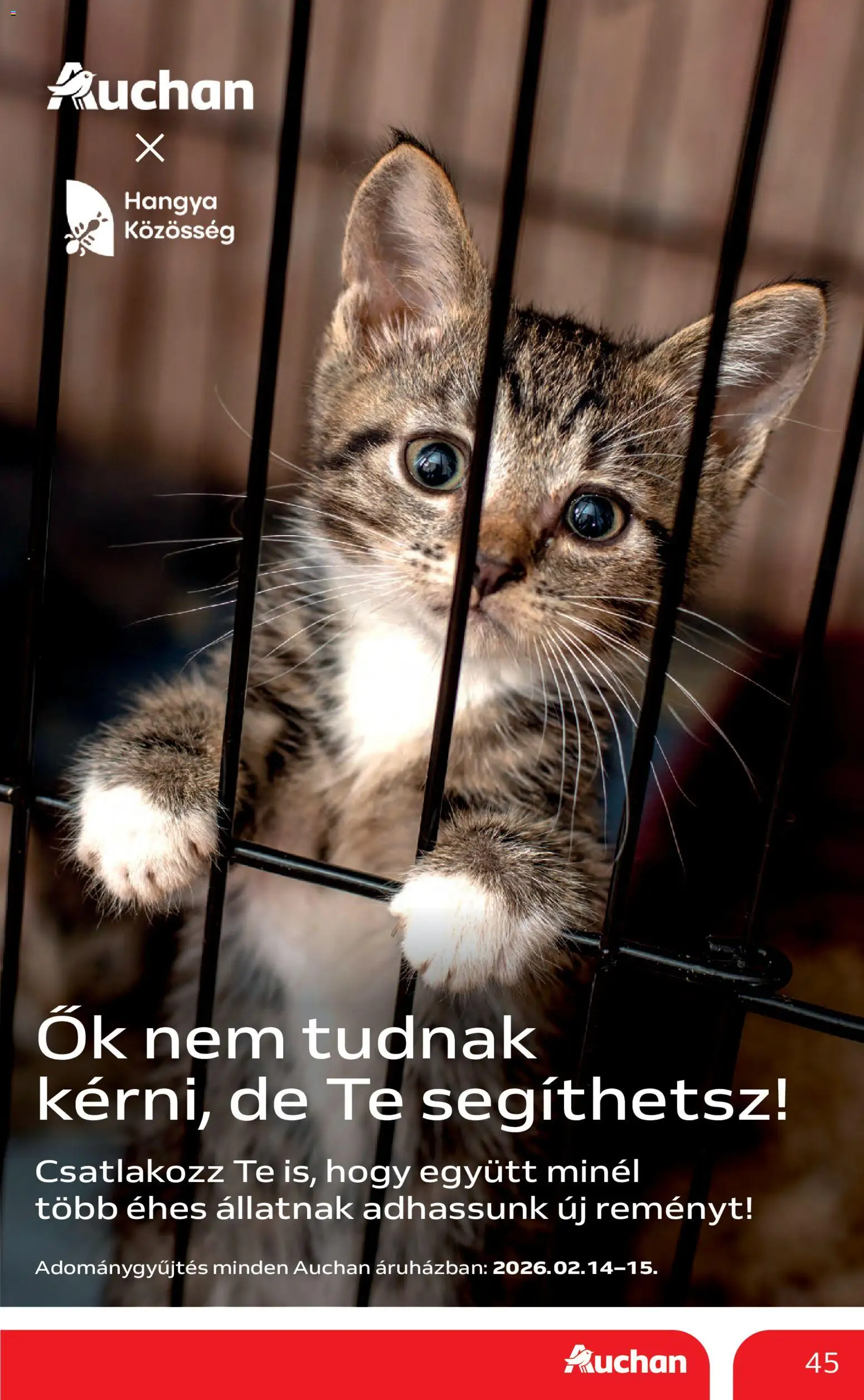 Auchan akciós ujság - amely érvényes a következő dátumtól: 12.02.2026 | Oldal: 45