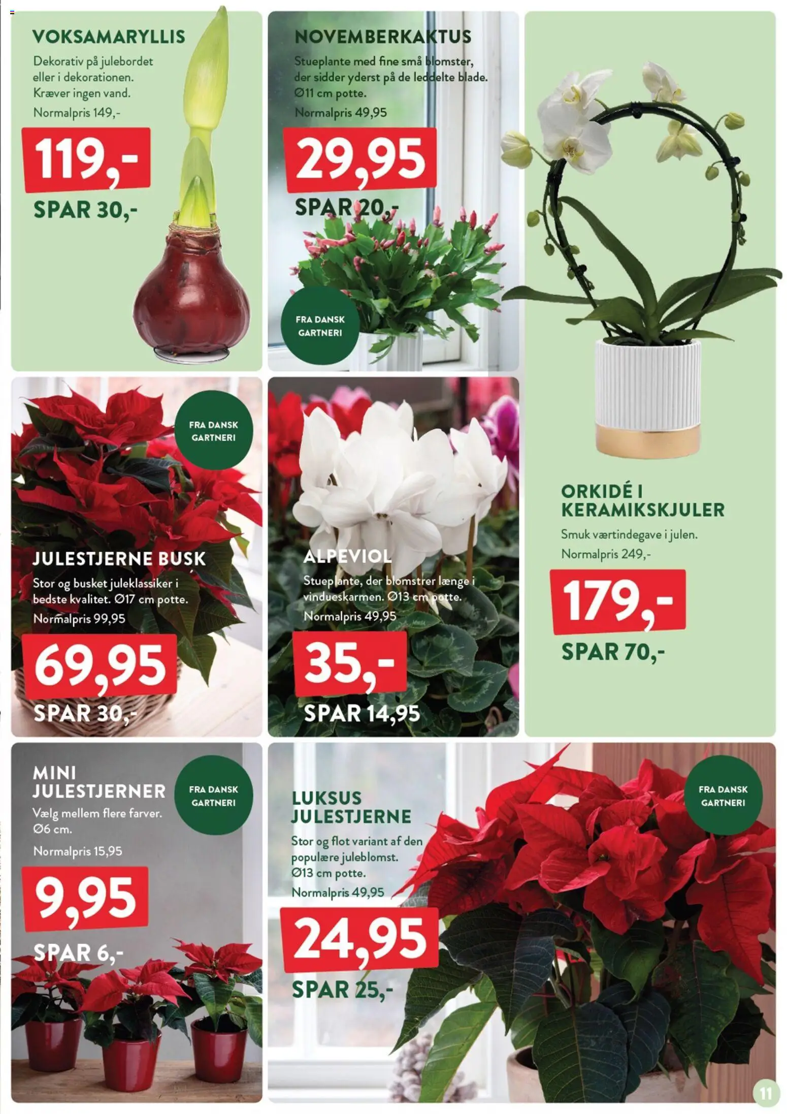 Plantorama tilbudsavis – gyldig fra 21.11.2025 | Side: 9