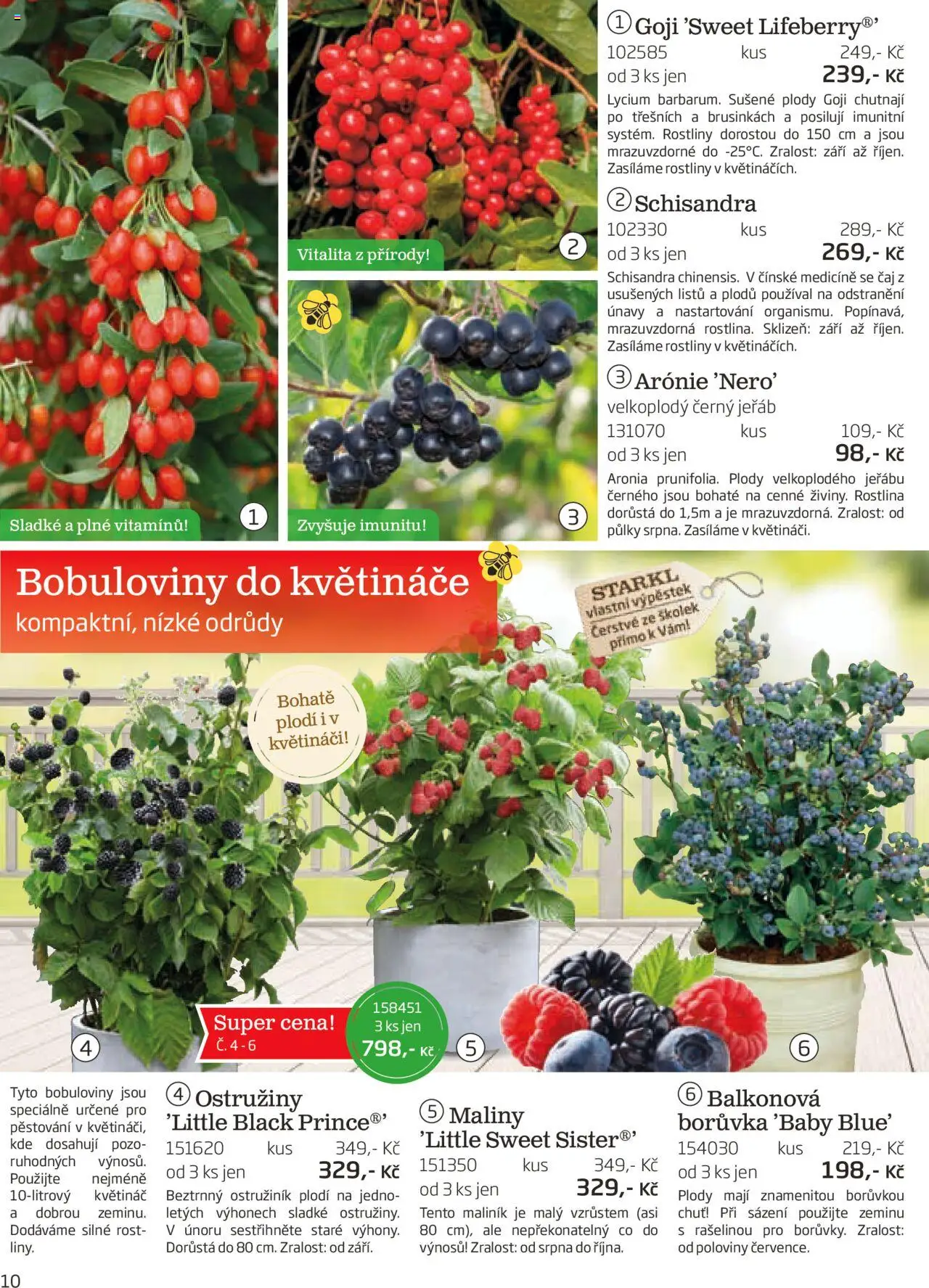 Starkl katalog podzim 2025 od 01.08.2025 | Strana: 10 | Produkty: Goji, Maliny, Rošt, Květináč
