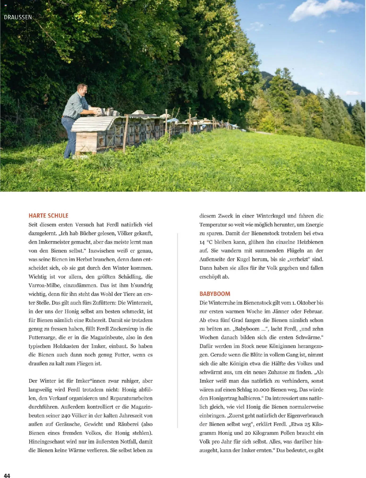 Sutterlüty B’sundrig Magazine gültig ab 17.11.2025 | Seite: 109 | Produkte: Gewicht