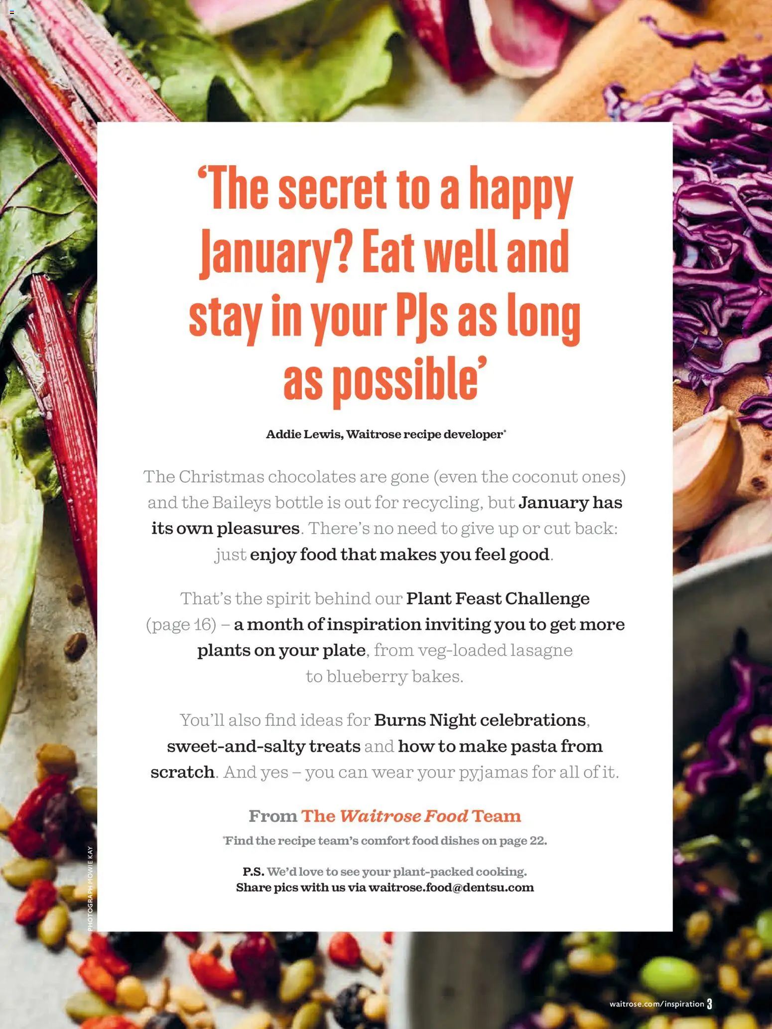 {H1} | Page: 3 | Products: Lasagne, Pasta, Blueberry, Coconut