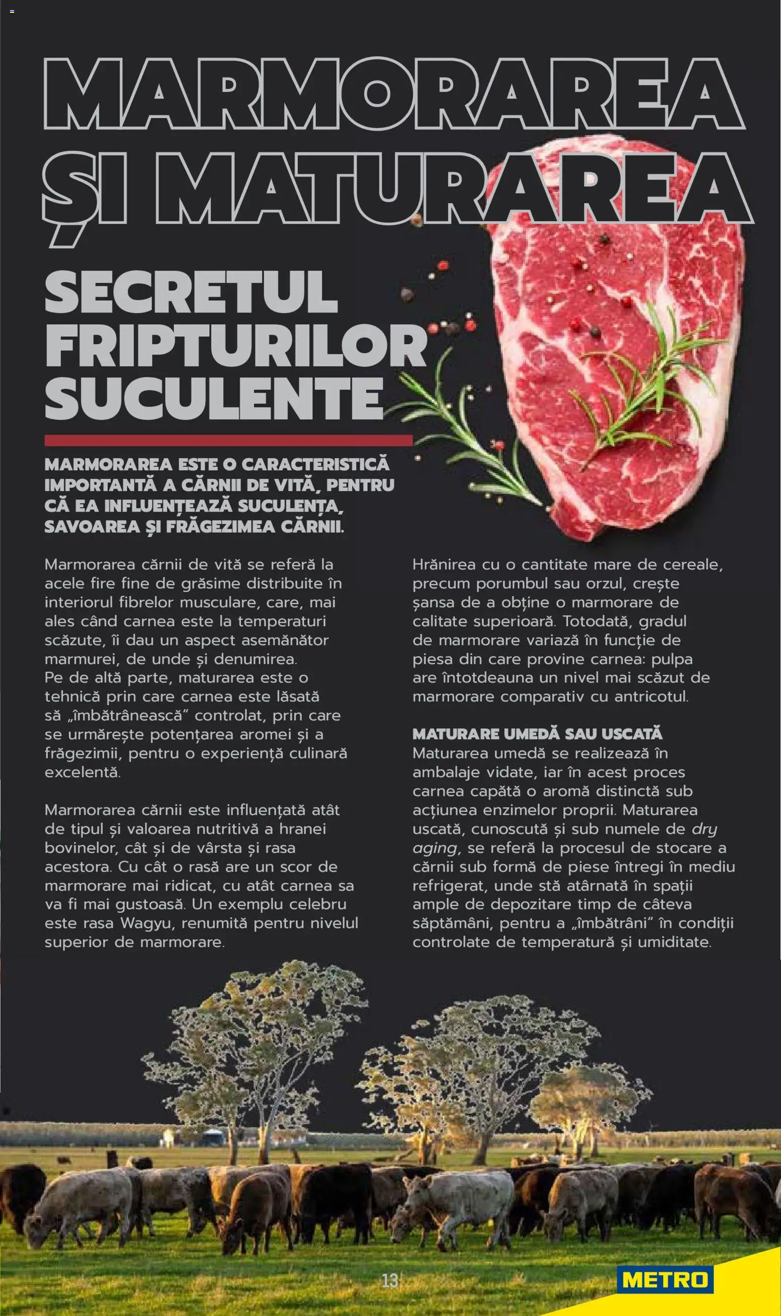 Noul catalog Metro – valabil de la 03.06.2025 | Pagină: 13