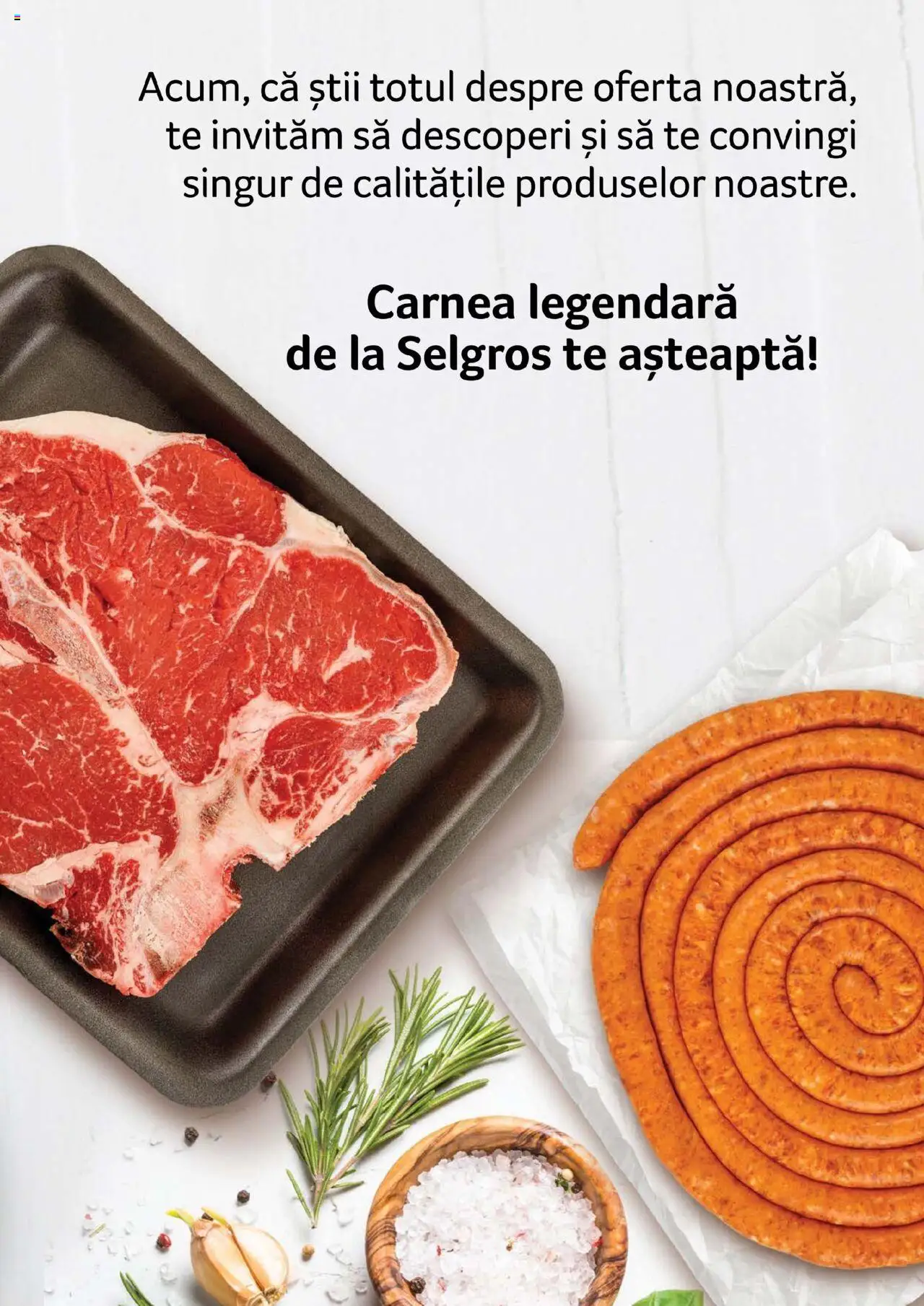 Catalog Selgros - Carne – valabil de la 27.04.2023 | Pagină: 111