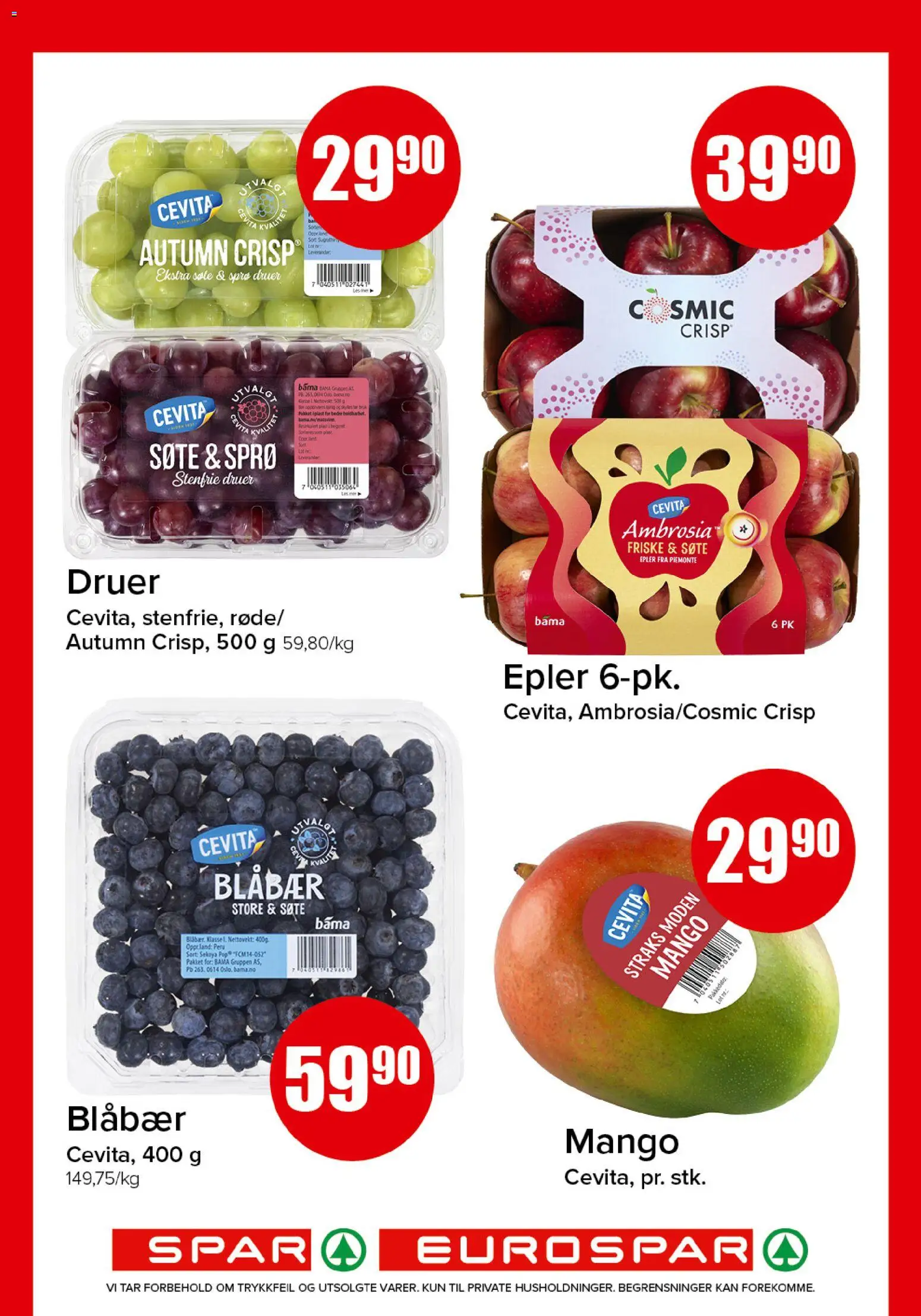 {H1} | Side: 5 | Produkter: Epler, Druer, Blåbær, Mango