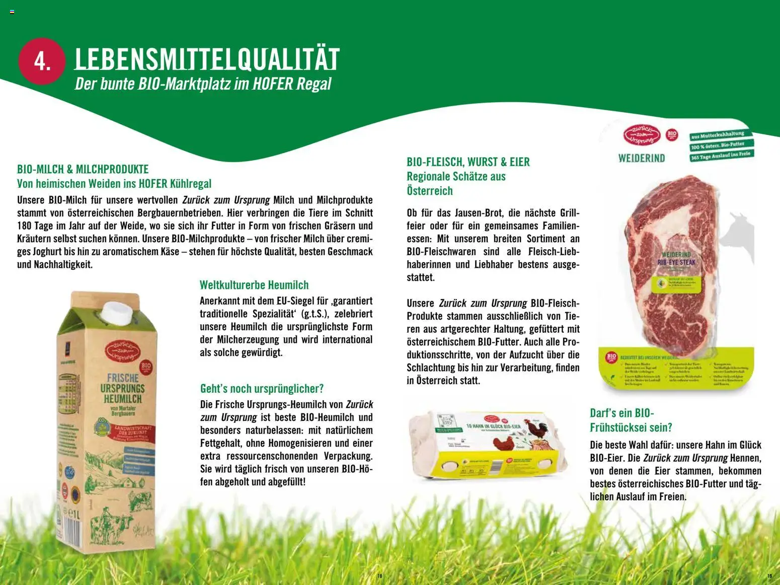 Hofer Alles über die nachhaltige Bio-Eigenmarke  gültig ab 20.02.2026 | Seite: 10 | Produkte: Milch, Käse, Joghurt, Eier