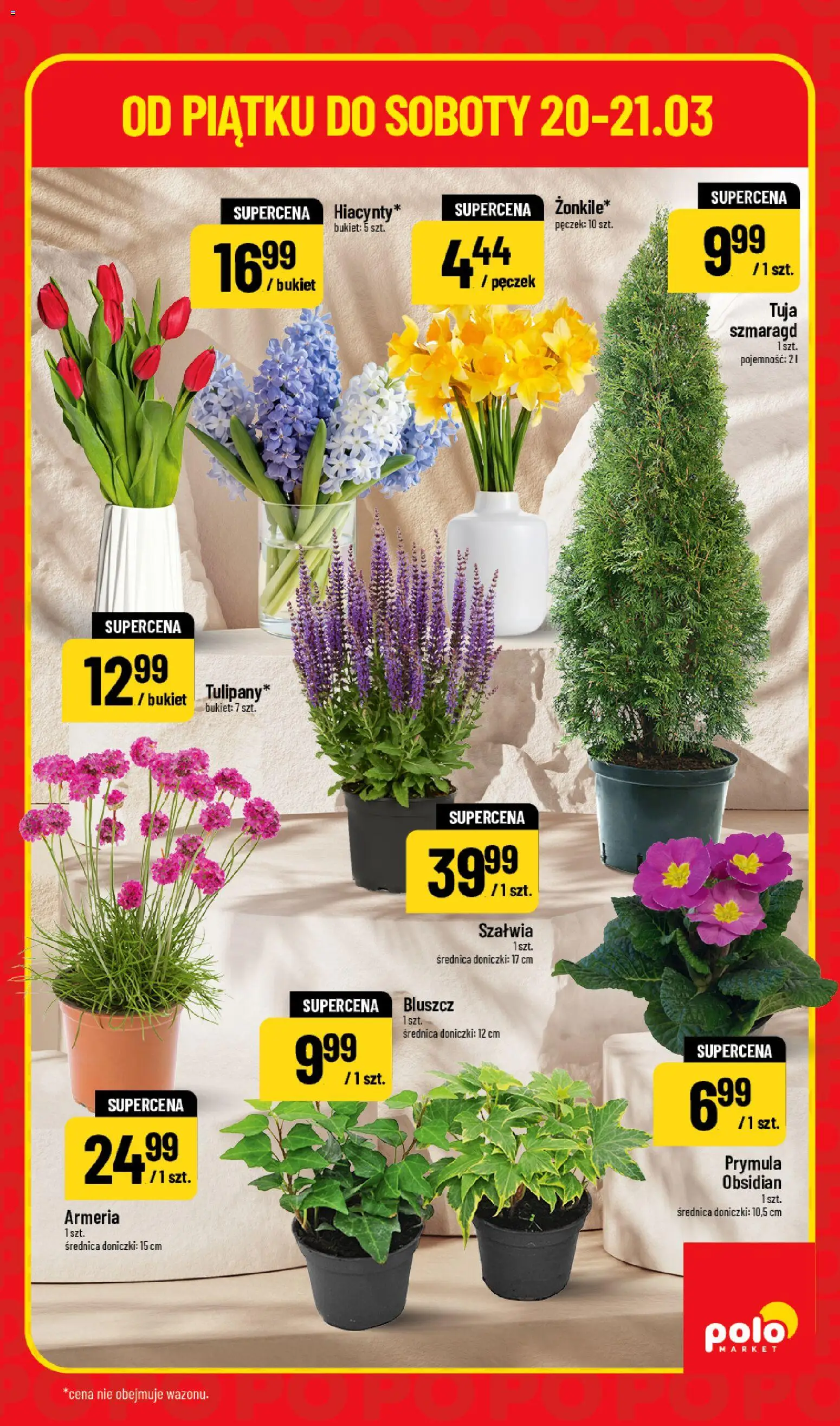 POLOmarket gazetka - Super Hity od 20.03.2026 | Strona: 5 | Produkty: Doniczki