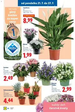 Lidl leták │ platný od 21.07.2025 | Strana: 44