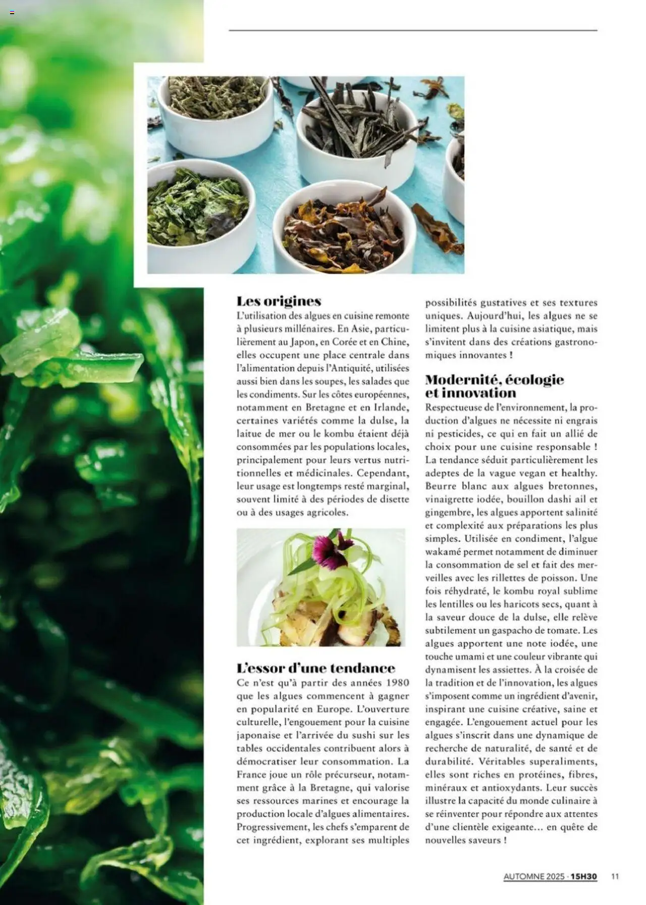  | Page: 11 | Produits: Ail, Mais, Sushi, Beurre