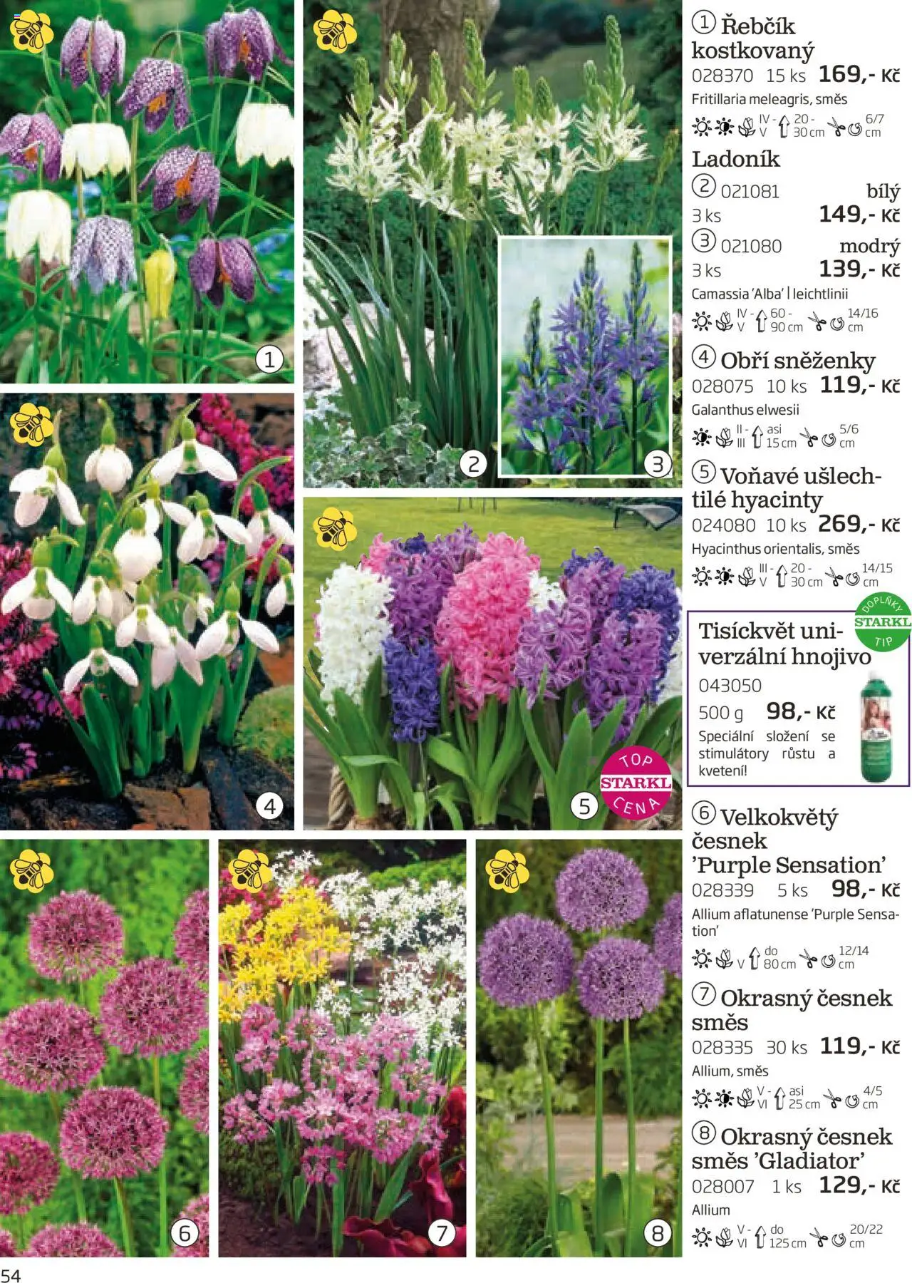 Starkl katalog podzim 2025 od 01.08.2025 | Strana: 54 | Produkty: Česnek, Hnojivo